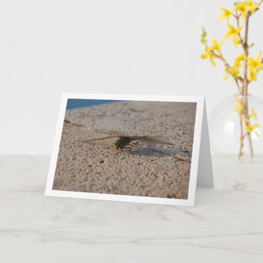 トンボの肖像 カード (黄色い花)