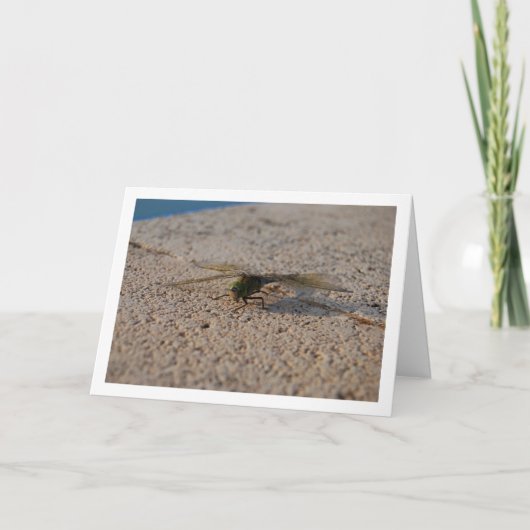 トンボの肖像 カード (正面)