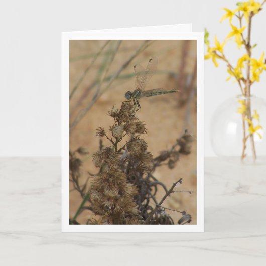 トンボの肖像 カード (黄色い花)