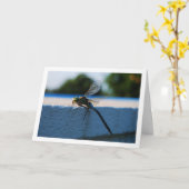 トンボの肖像 カード (黄色い花)