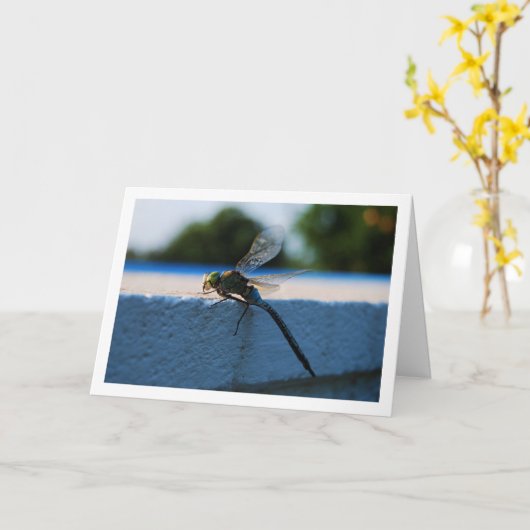トンボの肖像 カード (黄色い花)