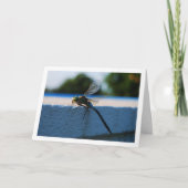 トンボの肖像 カード (正面)