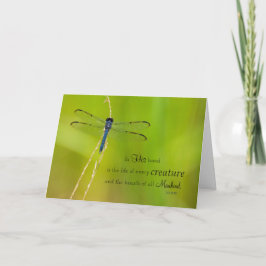 トンボの表現 シーズンカード