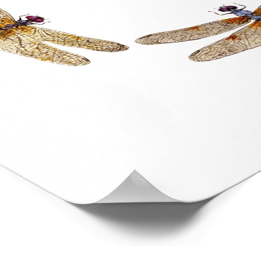 トンボの輪 ポスター (角)