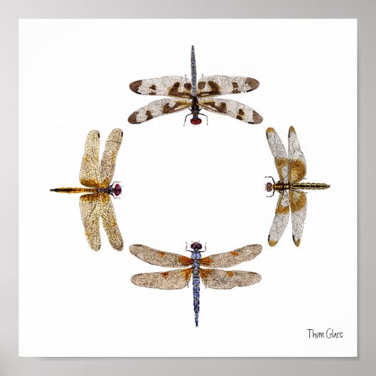 トンボの輪 ポスター (正面)