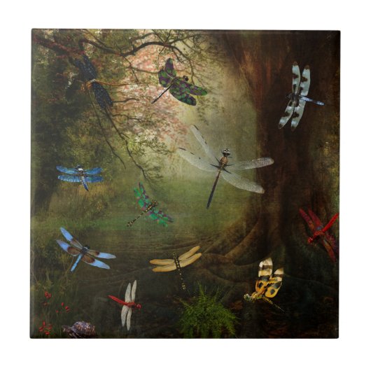 トンボの運動場 タイル (正面)