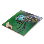 トンボの青いDarnerのクローズアップの目 タイル (側面)