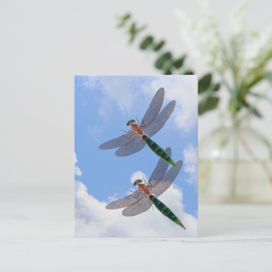 トンボの青空は自然の郵便はがきを曇らせます ポストカード (スタンド正面)