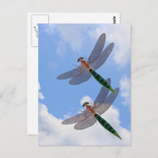 トンボの青空は自然の郵便はがきを曇らせます ポストカード (正面/裏面)