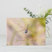 トンボの飛行写真 招待状 (スタンド正面)