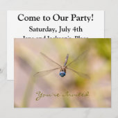 トンボの飛行写真 招待状 (正面/裏面)