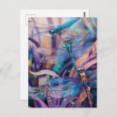 トンボはがき ポストカード (正面/裏面)