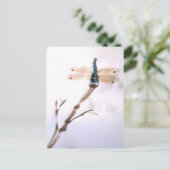 トンボはがき ポストカード (スタンド正面)