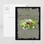 トンボはがき ポストカード (正面/裏面)