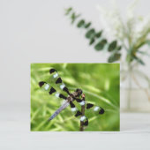 トンボはがき ポストカード (スタンド正面)