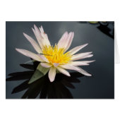 トンボを持つスイレン (正面横)