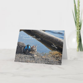 トンボを捕まえるために 案内状