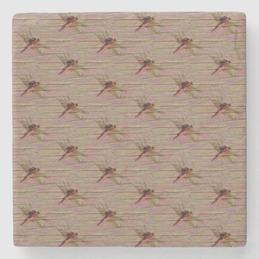 トンボカラフルイ ストーンコースター (正面)