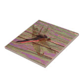 トンボカラフルイ タイル (側面)