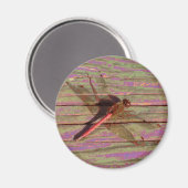 トンボカラフルイ マグネット (正面/裏面)