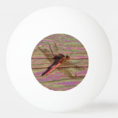 トンボカラフルイ 卓球ボール (正面)