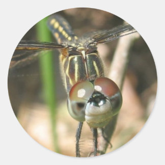 「トンボスマイル」ステッカーシート ラウンドシール