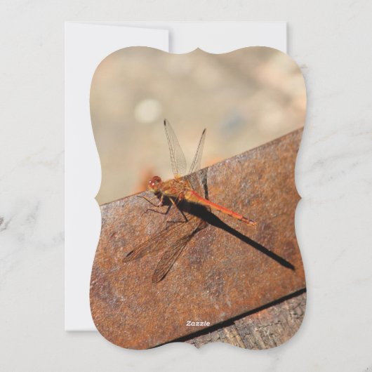 トンボデザインと茶色 シーズンカード (裏面)