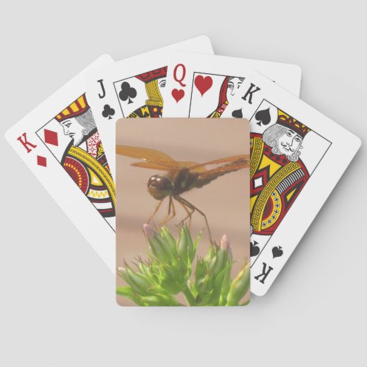 トンボトランプ トランプ (裏面)