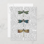 トンボプリント2 ポストカード (正面/裏面)