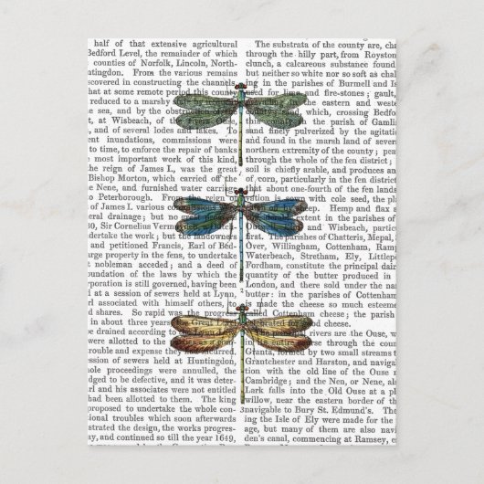 トンボプリント2 ポストカード (正面)