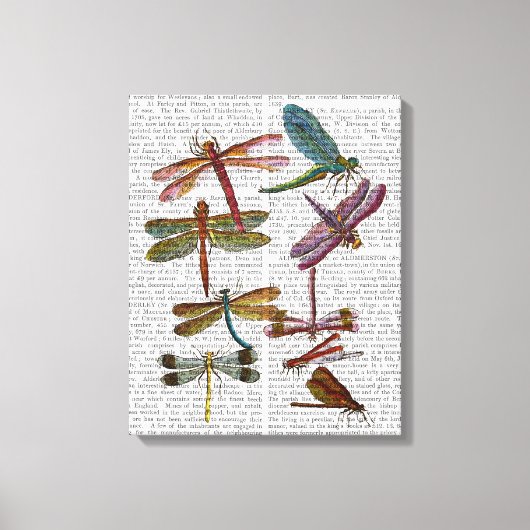 トンボプリント4 キャンバスプリント (正面)