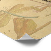 トンボヴィンテージアンティーククラシックスケッチ ポスター (角)