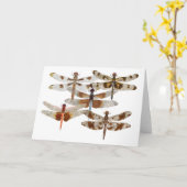 トンボ五 カード (黄色い花)