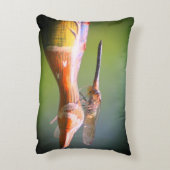 トンボ共同パイロット昆虫 アクセントクッション (裏面(縦))