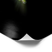 トンボ形葉の ポスター (コーナー)