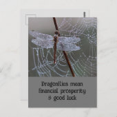 トンボ意味カード ポストカード (正面/裏面)