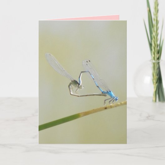 トンボ愛 カード (正面)