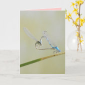 トンボ愛 カード (黄色い花)