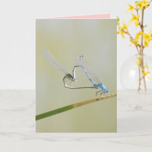 トンボ愛 カード (黄色い花)