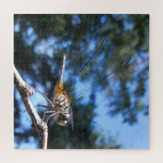 トンボ昆虫自然のマクロフォト ジグソーパズル (横)