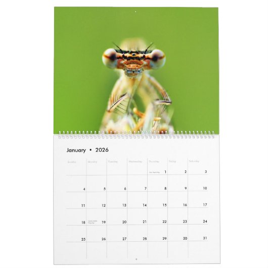 トンボ暦 カレンダー (1月 2026)