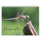 トンボ暦 カレンダー (カバー)