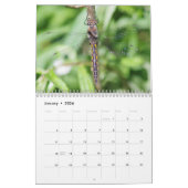 トンボ暦 カレンダー (1月 2026)