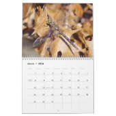 トンボ暦 カレンダー (3月 2026)