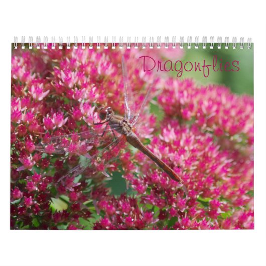 トンボ暦 カレンダー (カバー)