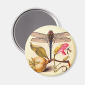 トンボ植物性自然野生生物 マグネット (正面/裏面)