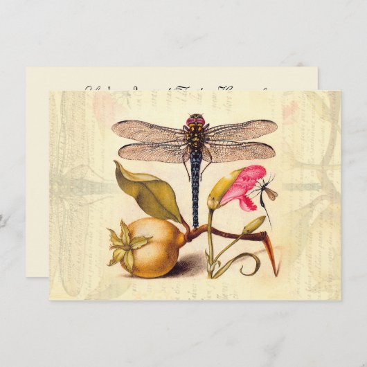 トンボ植物性自然野生生物 招待状 (正面/裏面)