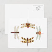 トンボ環 ポストカード (正面/裏面)