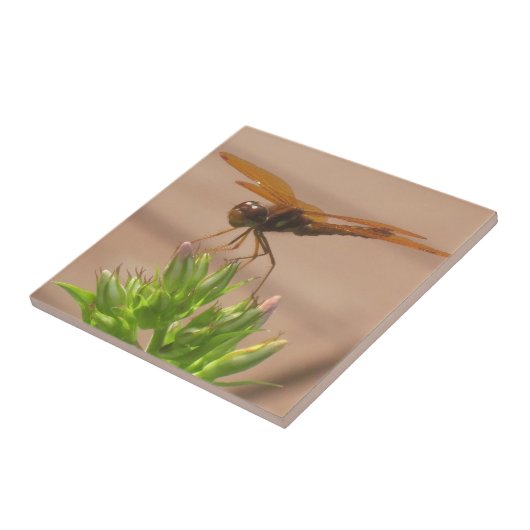 トンボ瓦 タイル (側面)