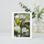 トンボ用はがき ポストカード (スタンド正面)